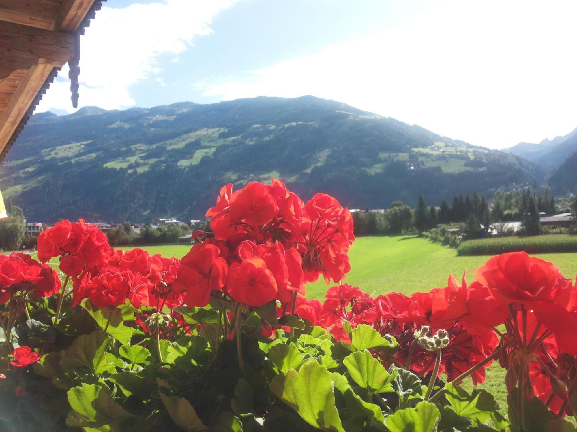 Tirol Appartement Haus Zillertal Zell am Ziller Chambre photo