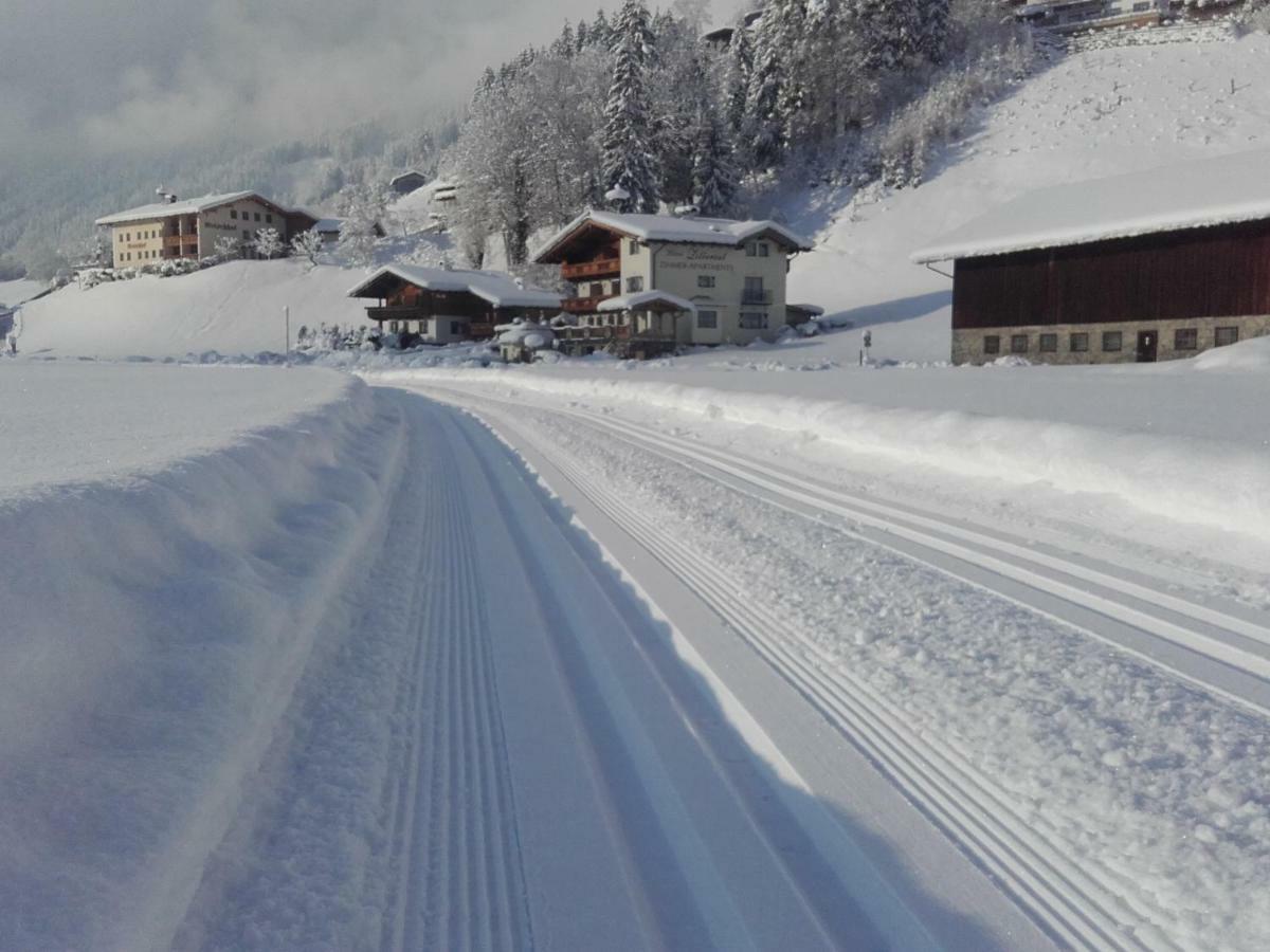 Tirol Appartement Haus Zillertal Zell am Ziller Extérieur photo